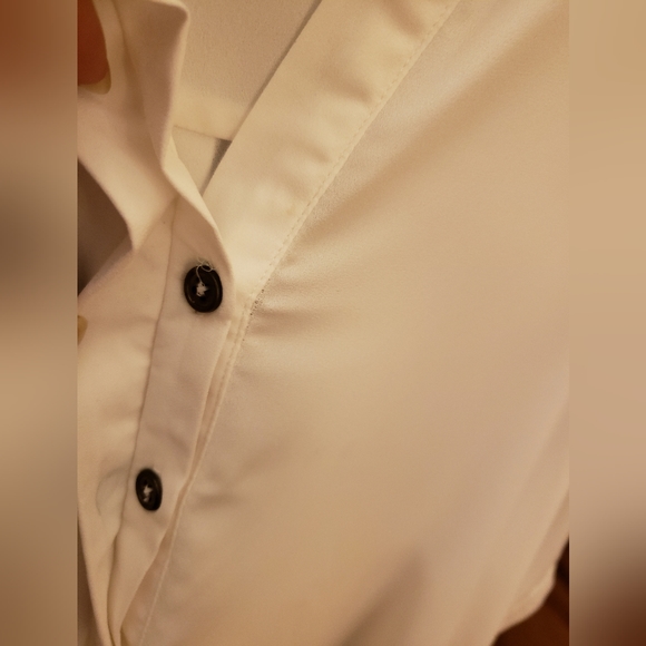 Cleo Sheer Blouse! - Picture 7 of 12